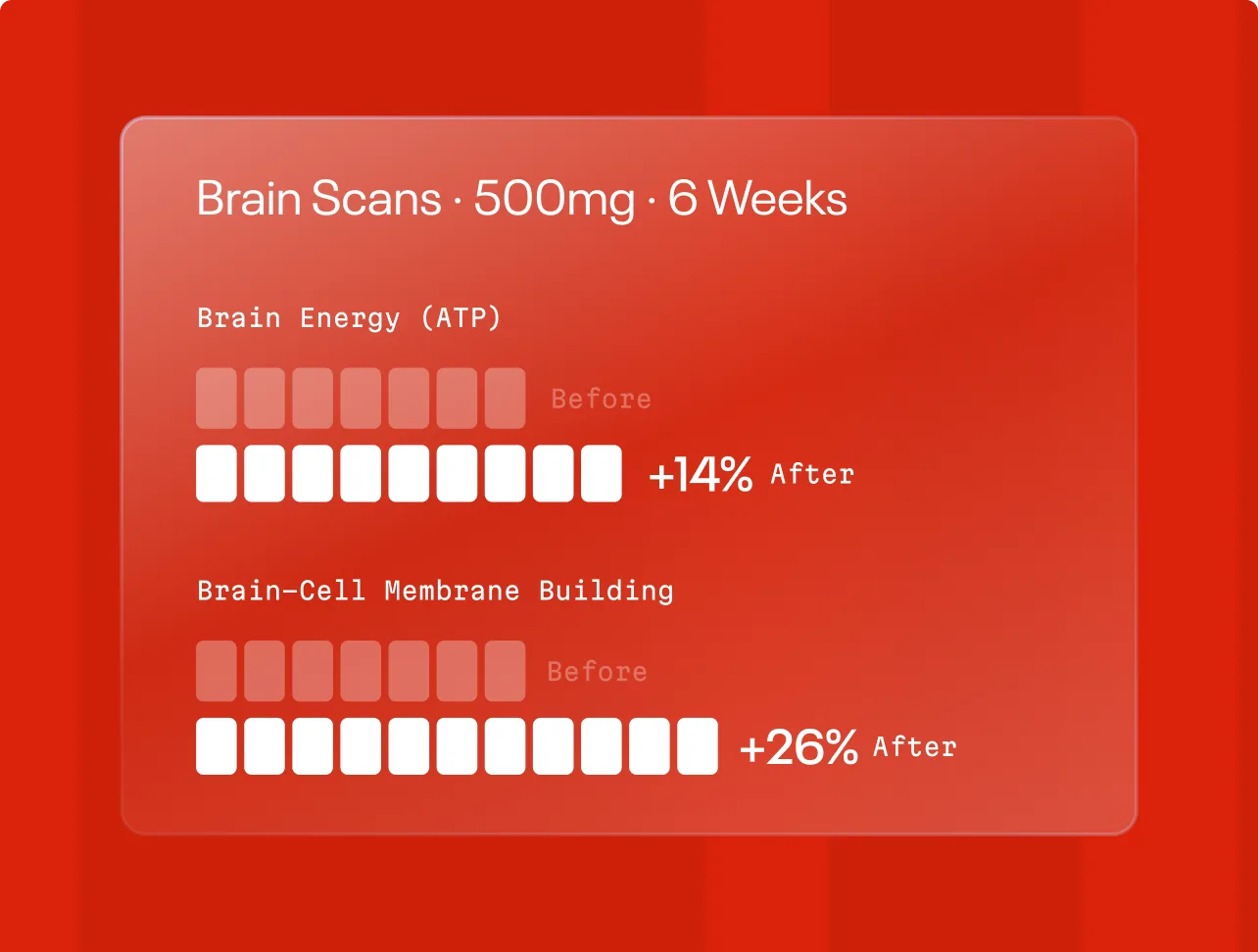 Chart: brain energy (ATP) up 14 percent and brain-cell membrane building up 26 percent after 6 weeks on 500 mg citicoline.