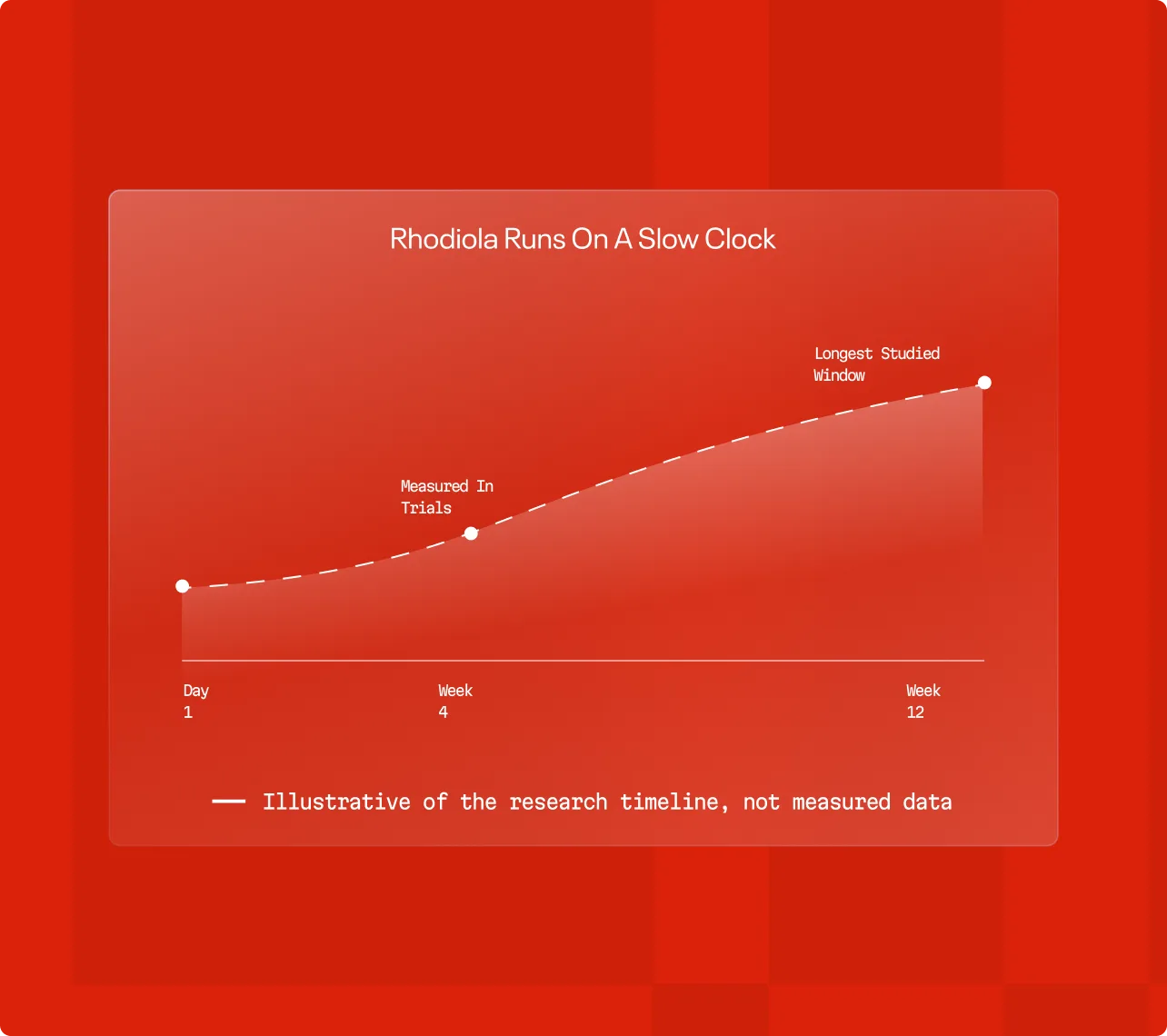 Timeline chart: rhodiola runs on a slow clock, building from day 1 through week 4 as measured in trials, out to the longest studied window at week 12.